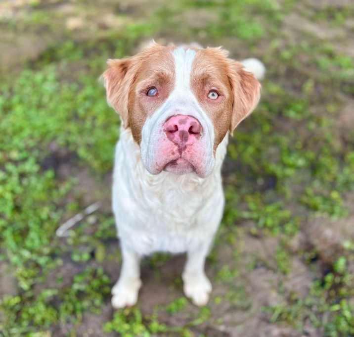 Photo of Jax