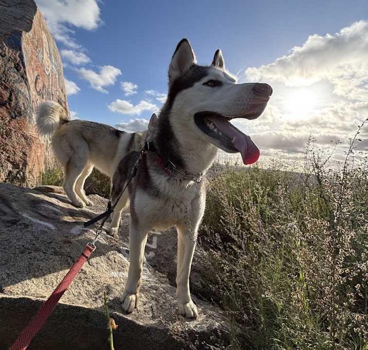 Photo of Leroy