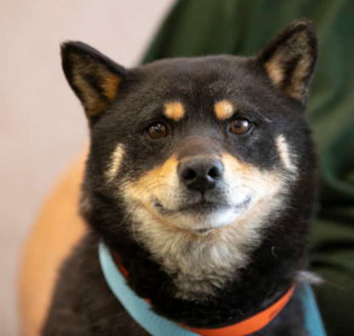 Photo of Rosco