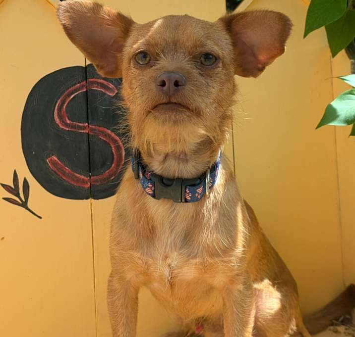 Photo of Paco