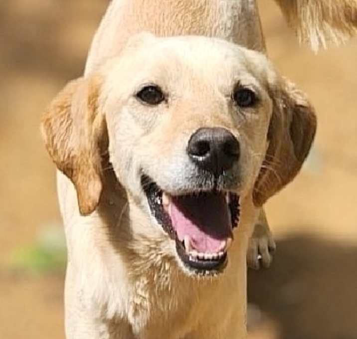 Photo of Maddie (Lebanon) nt