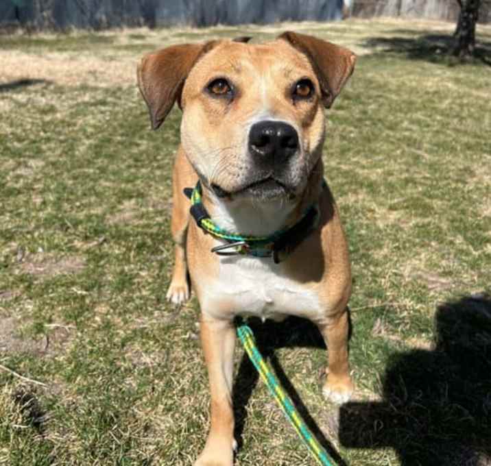 Photo of Bonnie