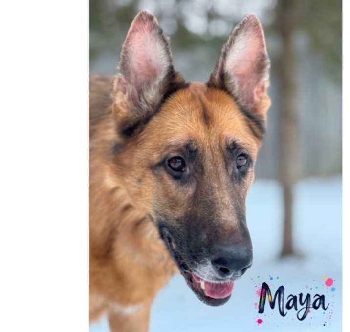 Photo of Maya