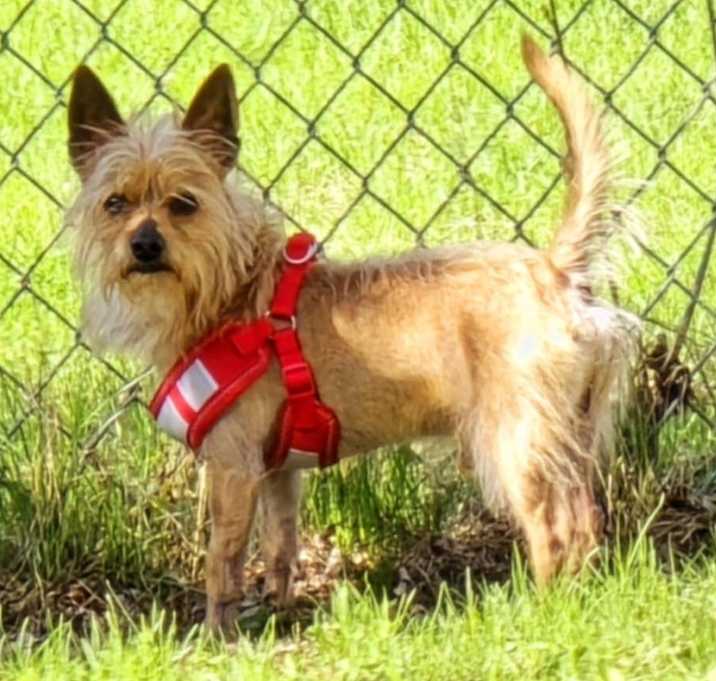 Photo of Milo