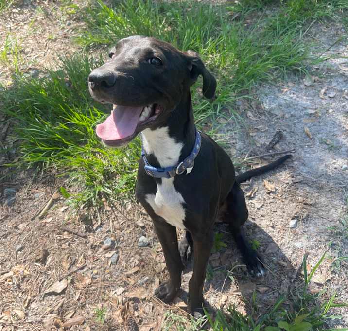 Photo of Happy 