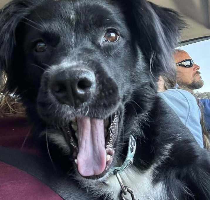 Photo of Ember