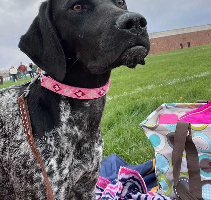 Photo of Rosie
