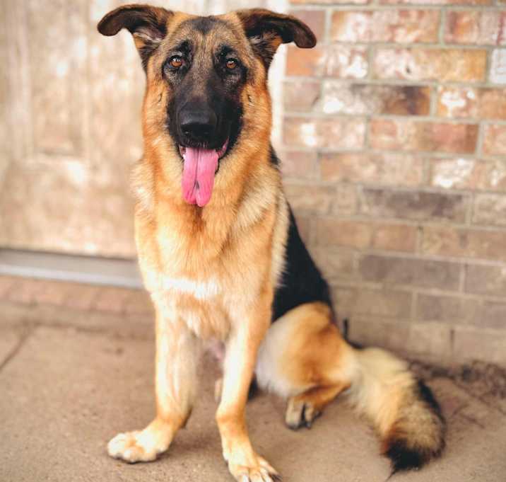Photo of Mattie