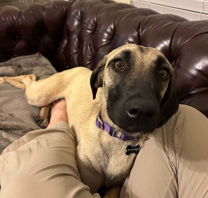 Photo of Molly