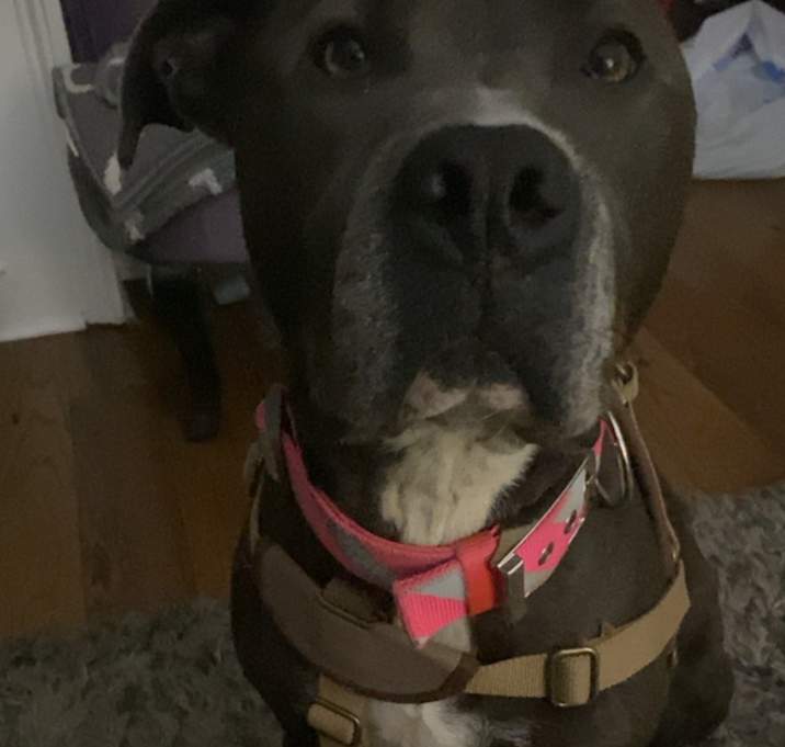 Photo of Angel