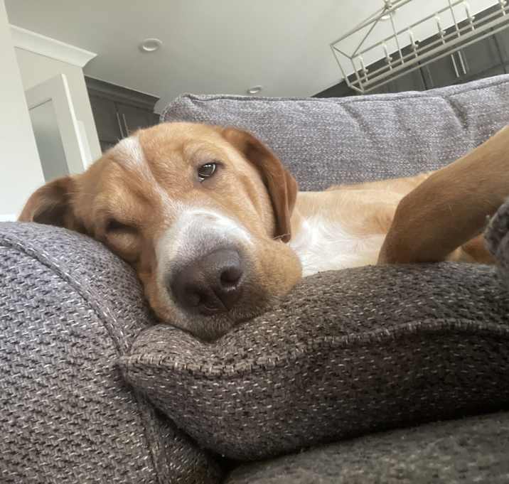 Photo of Mookie