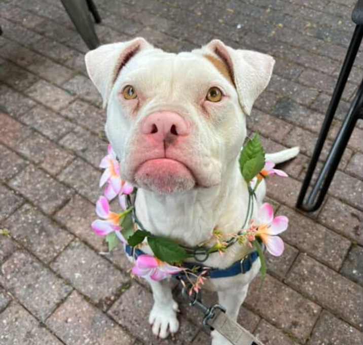 Photo of Brinley