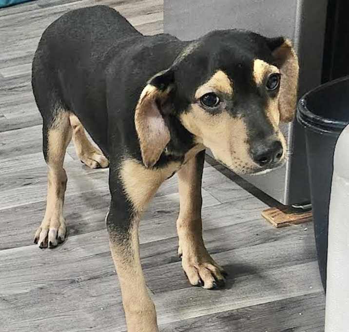 Photo of Skye