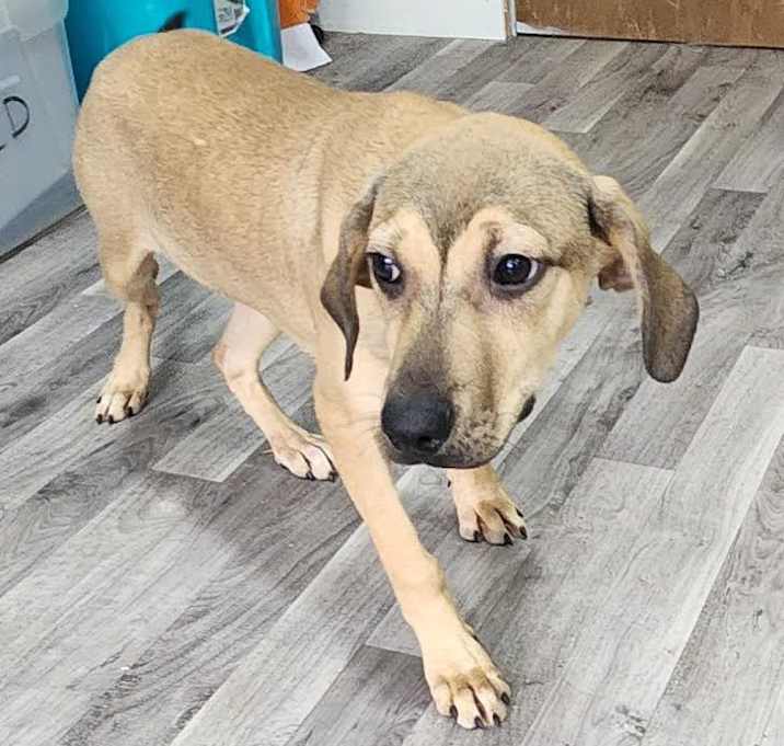 Photo of Star