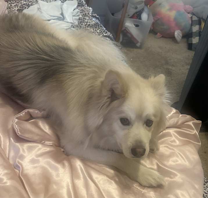 Photo of Zeus