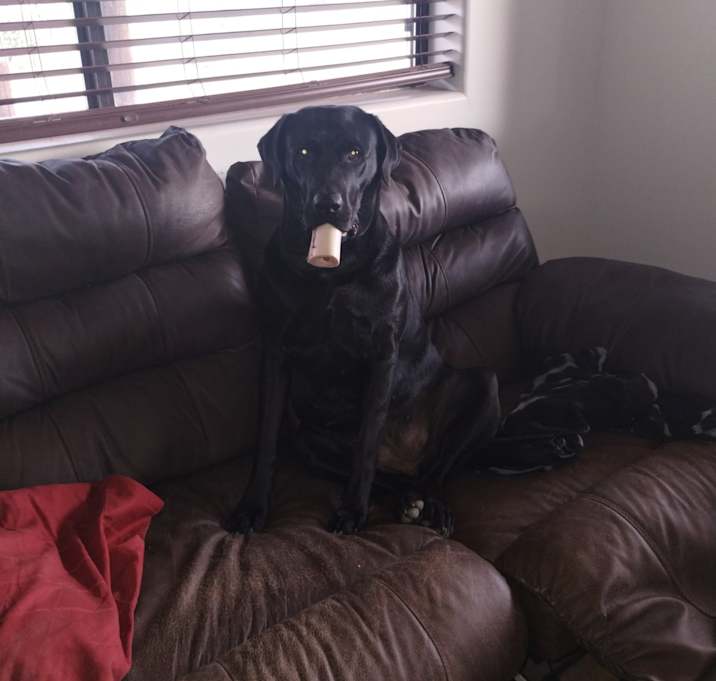 Photo of Sammy
