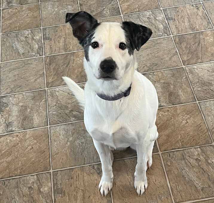 Photo of Emmy