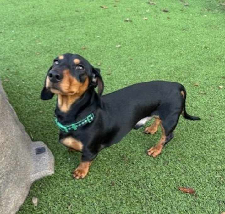 Photo of Jimmy Dean
