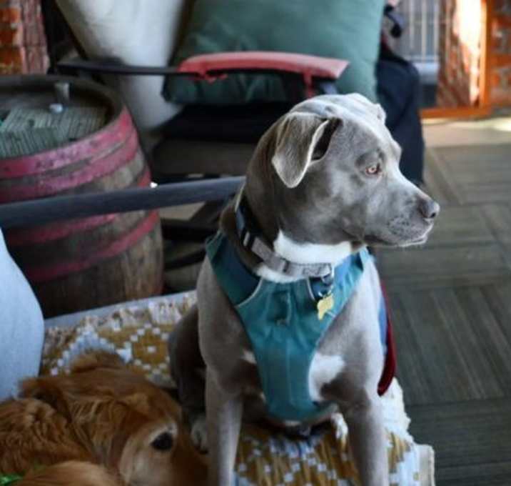 Photo of Georgia