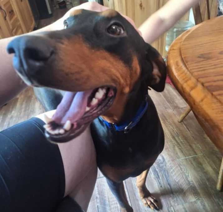 Photo of Molly
