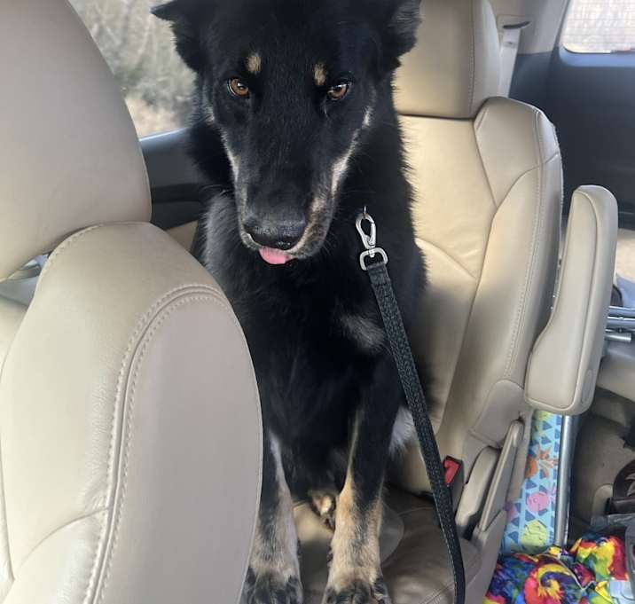 Photo of Vader