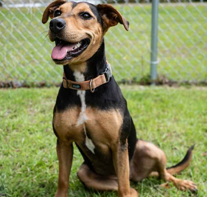Photo of Pippa