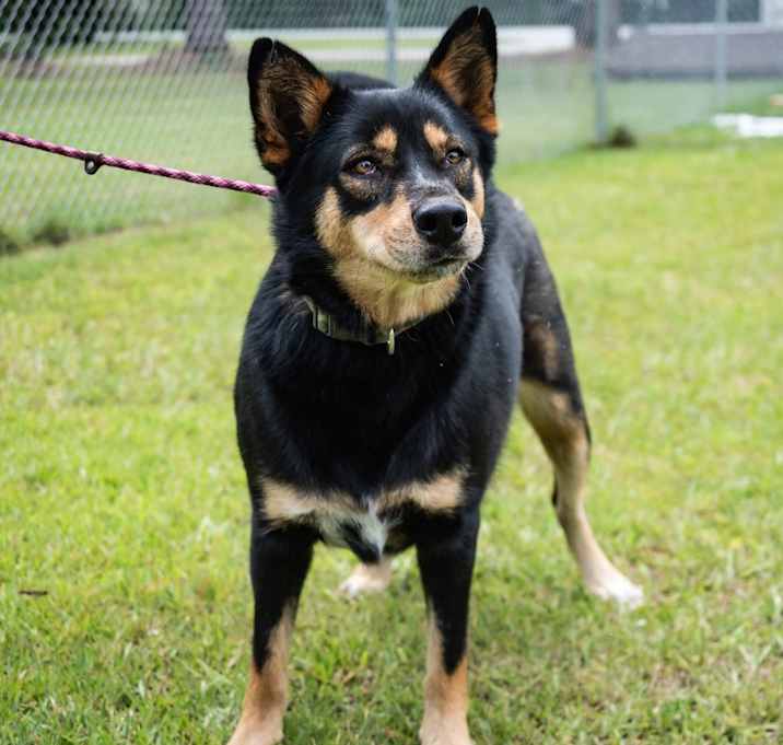 Photo of Susie