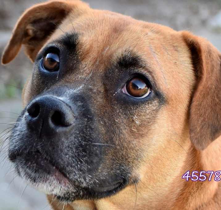 Photo of Molly