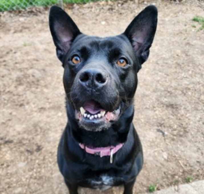 Photo of Addie
