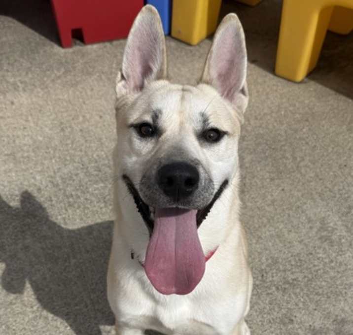 Photo of Lando