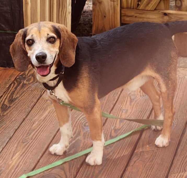 Photo of FRASIER