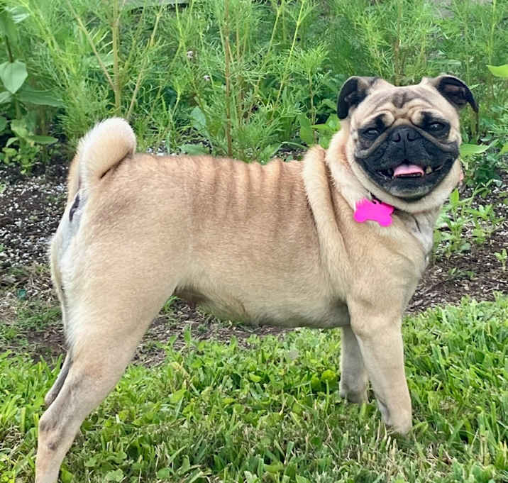 Photo of Ruthie