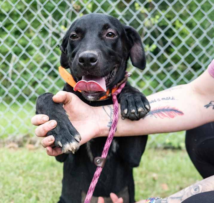 Photo of Echo