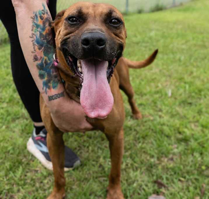 Photo of Luca