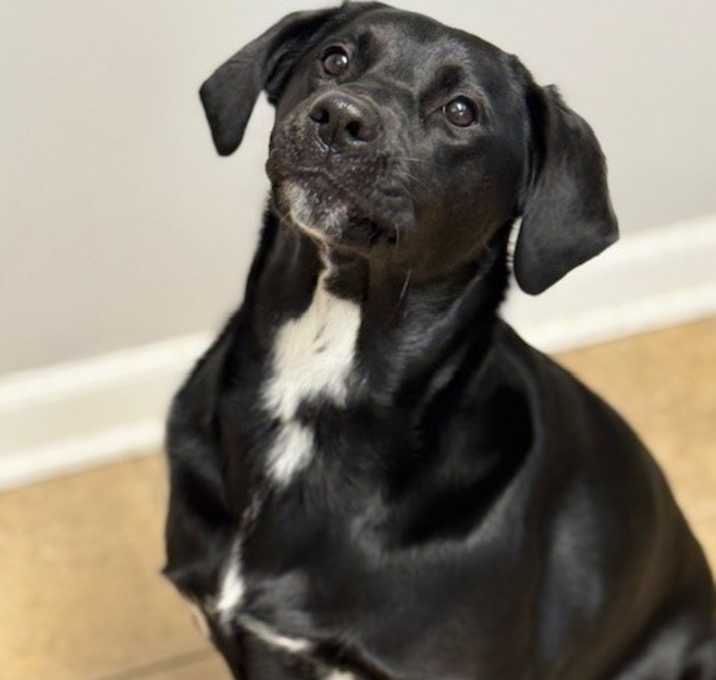Photo of Thor