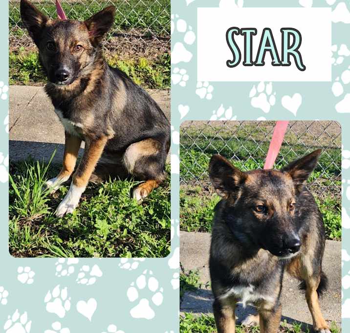 Photo of Star