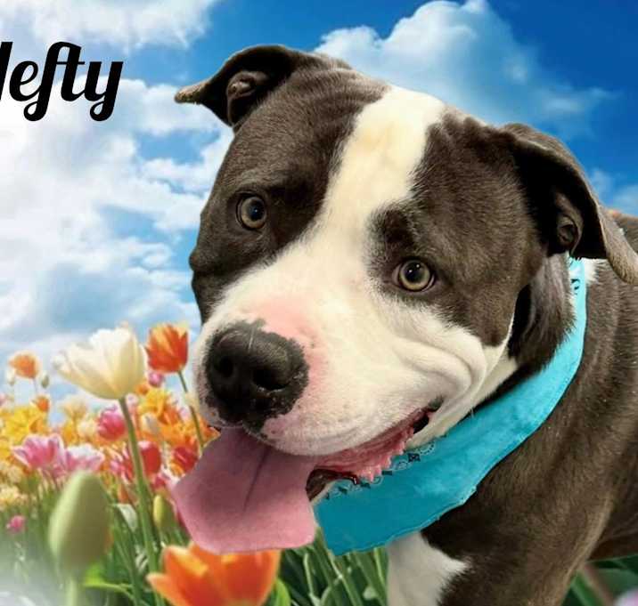 Photo of Hefty
