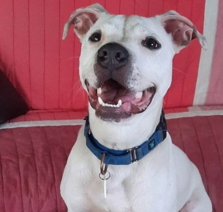 Photo of Timber