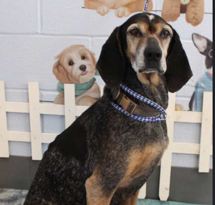 Photo of Karen PLEASE HELP URGENT!