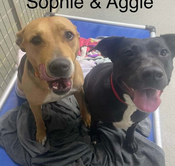 Photo of Sophie