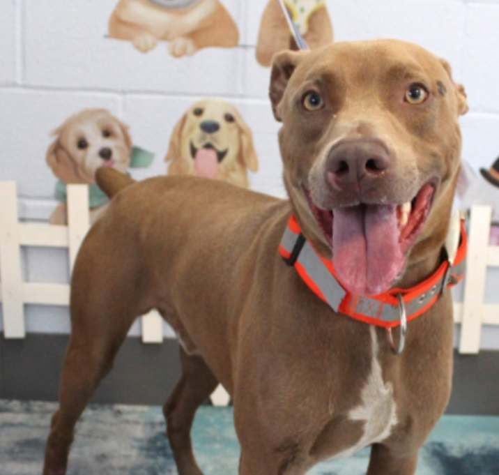 Photo of Roland URGENT HELP!
