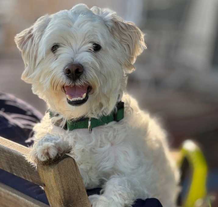 Photo of Stanley