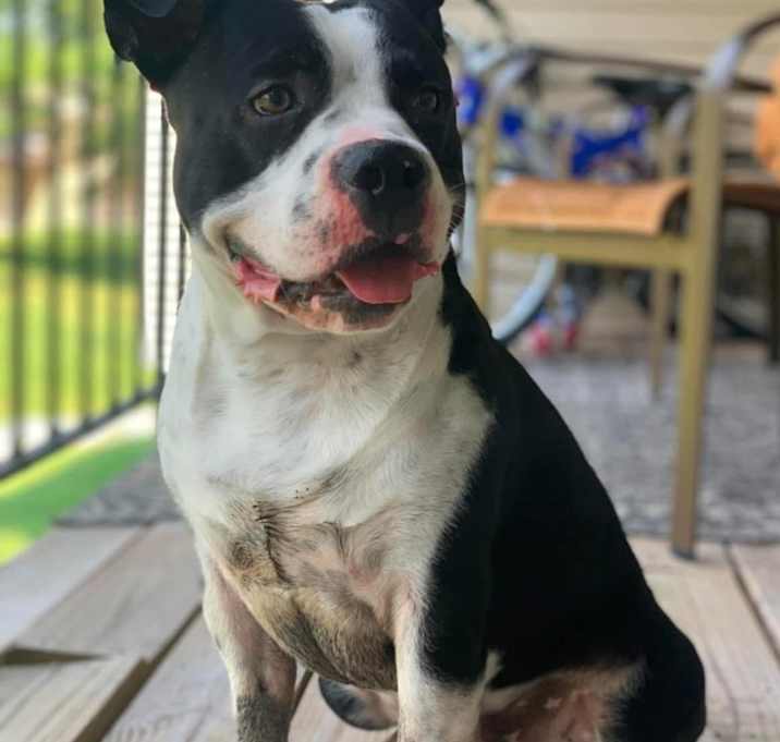 Photo of Benny