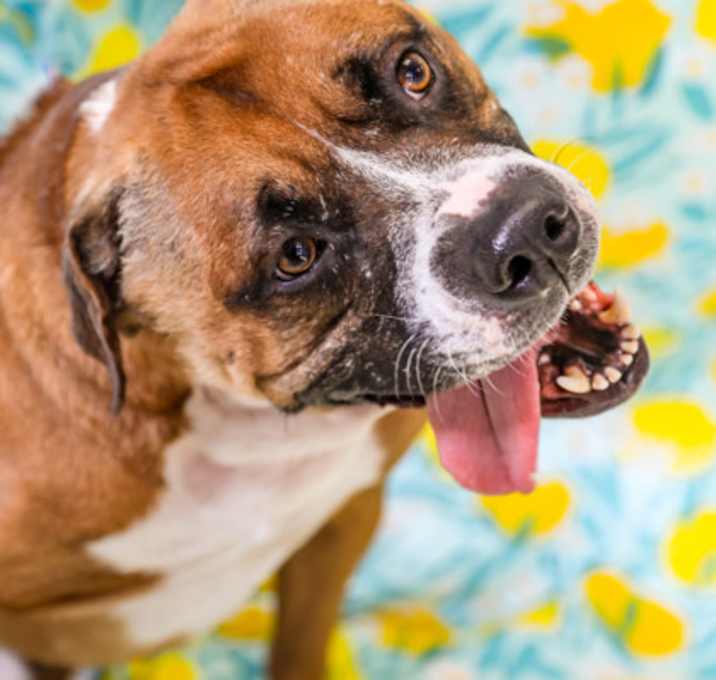 Photo of Max