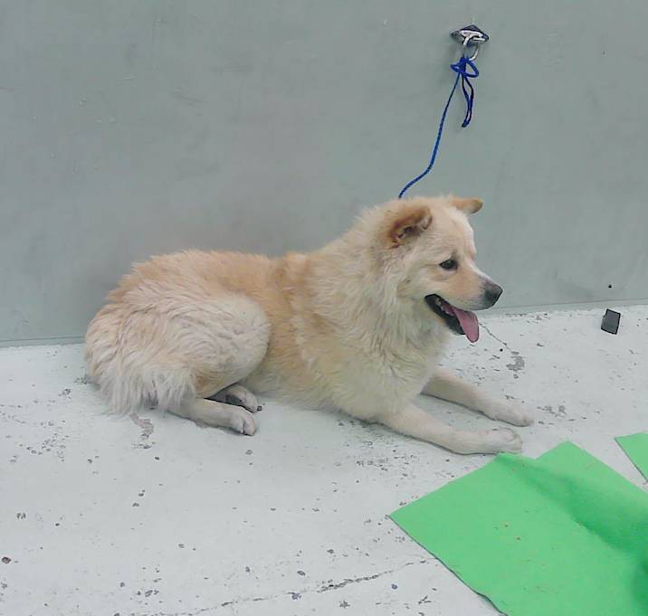 Photo of NUBE