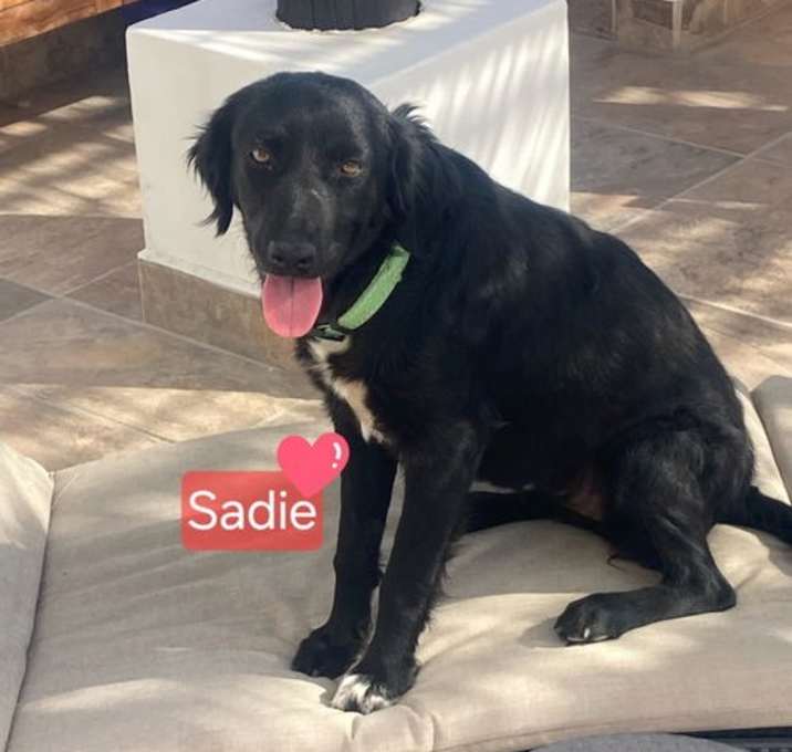 Photo of Sadiie