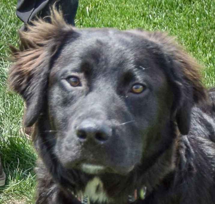Photo of Bruno