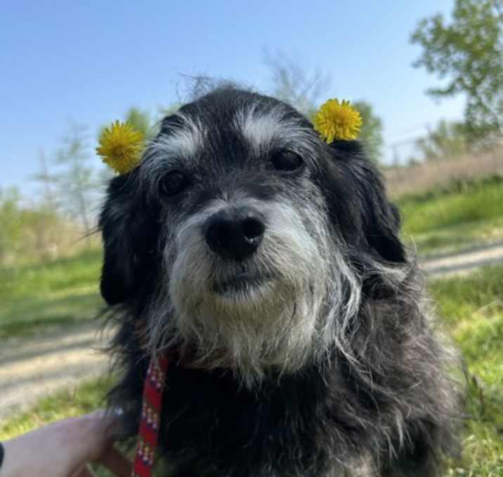 Photo of Mirabel