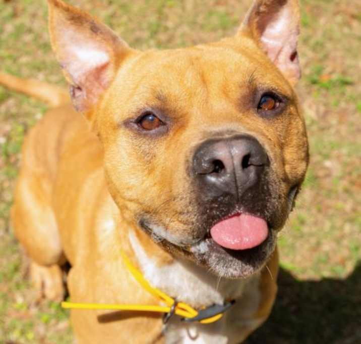 Photo of YOGI
