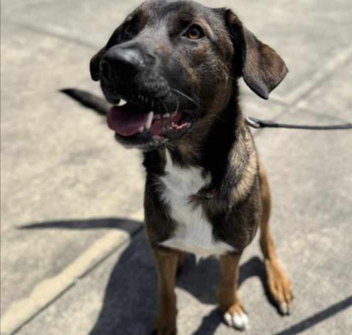 Photo of ROCKET